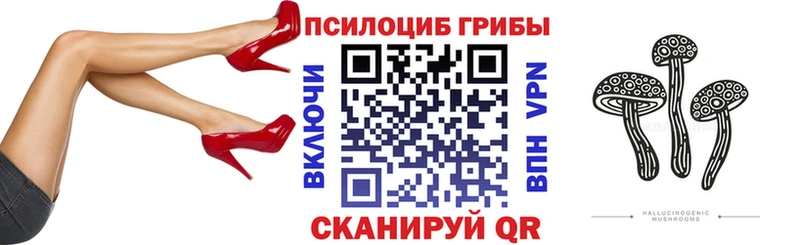 купить   Кола  Псилоцибиновые грибы Cubensis 