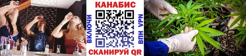 Марихуана сатива  Кола 